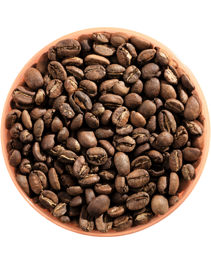 Colombia Landrace coffee origin illustration. Blaq Coffee.