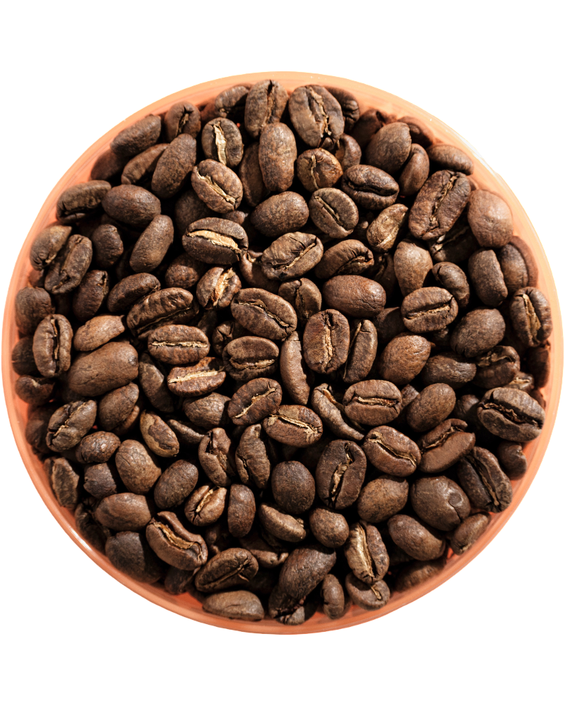 Colombia coffee origin illustration. Blaq Coffee.