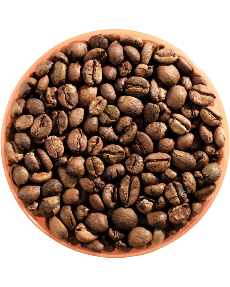 Sarawak coffee origin illustration. Blaq Coffee.